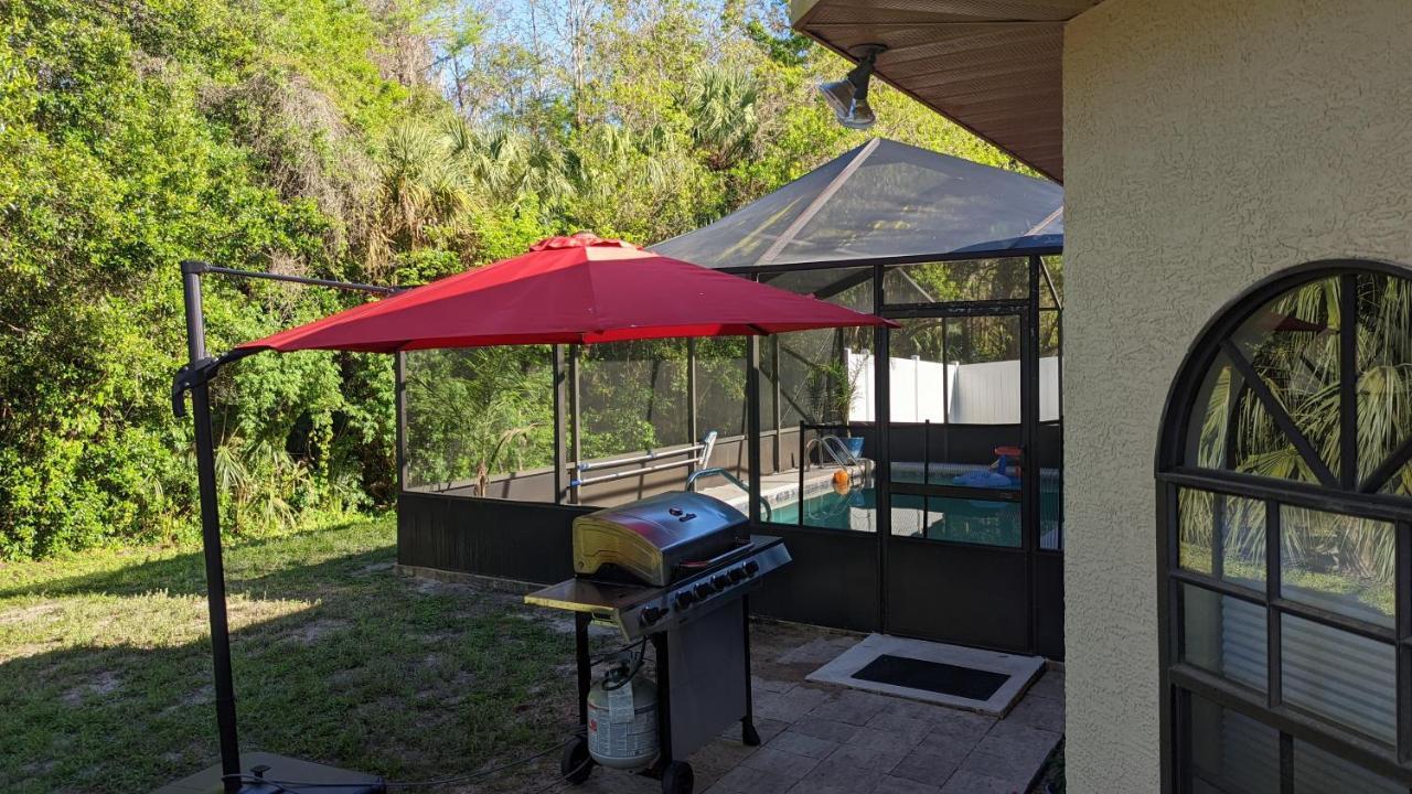 Your Manatee And Scalloping Adventure Retreat Crystal River Exteriör bild